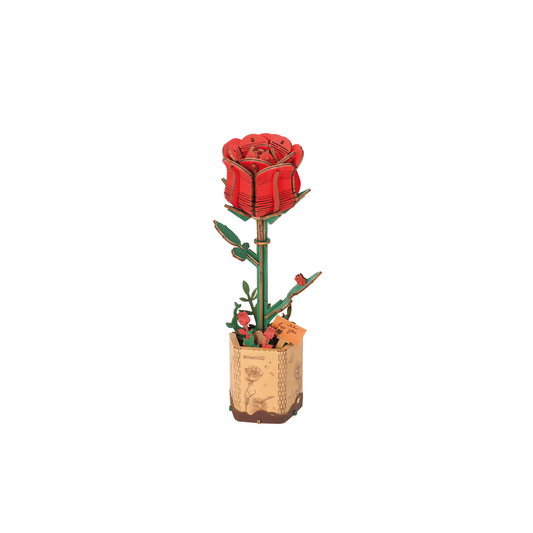 Rowood DIY Fioriera in legno Rosa rossa TW042